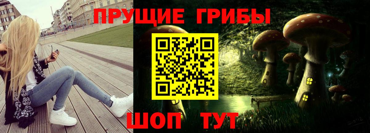 Лобня  Галлюциногенные грибы Cubensis  Вход с VPN 