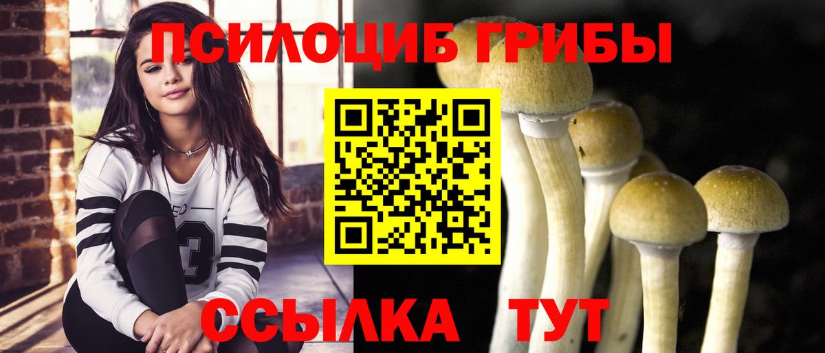 Галлюциногенные грибы Psilocybine cubensis Лобня